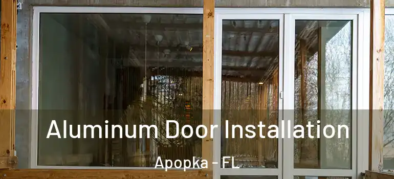  Aluminum Door Installation Apopka - FL