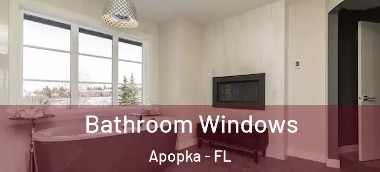  Bathroom Windows Apopka - FL