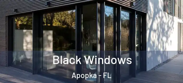  Black Windows Apopka - FL