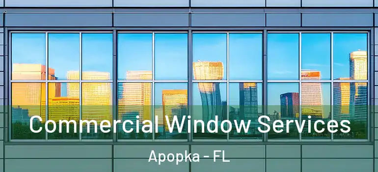  Commercial Window Services Apopka - FL