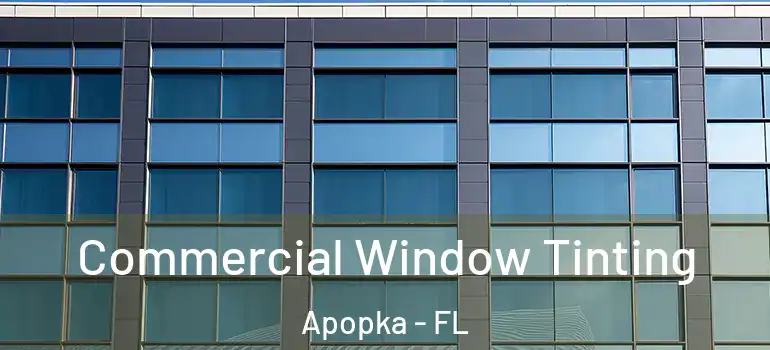  Commercial Window Tinting Apopka - FL