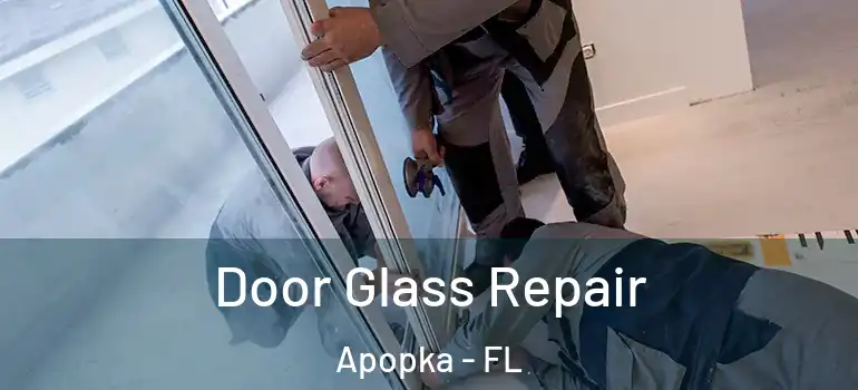  Door Glass Repair Apopka - FL
