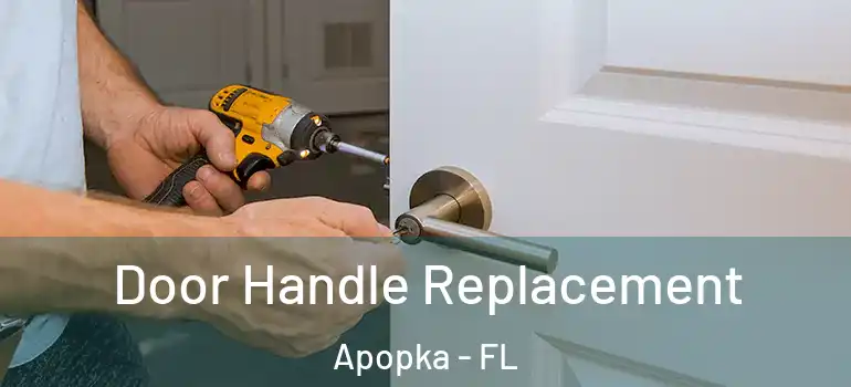  Door Handle Replacement Apopka - FL