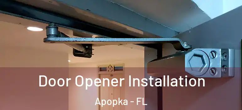  Door Opener Installation Apopka - FL