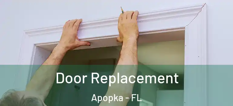  Door Replacement Apopka - FL