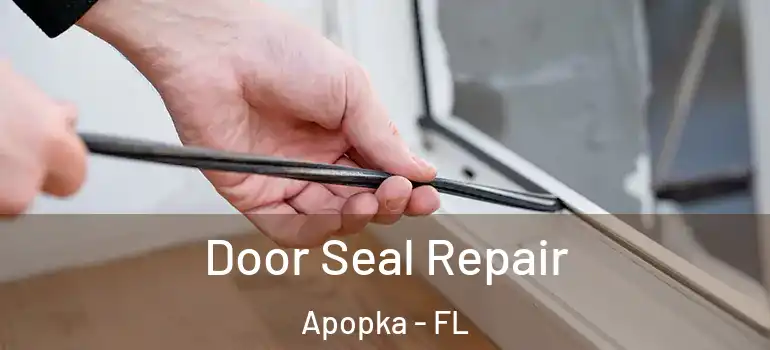  Door Seal Repair Apopka - FL