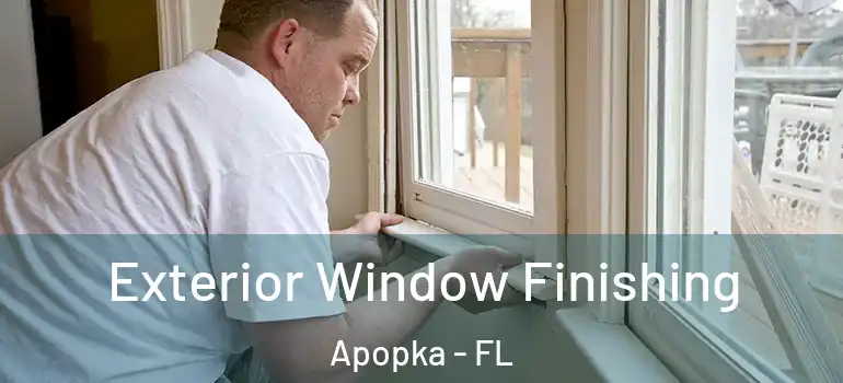  Exterior Window Finishing Apopka - FL