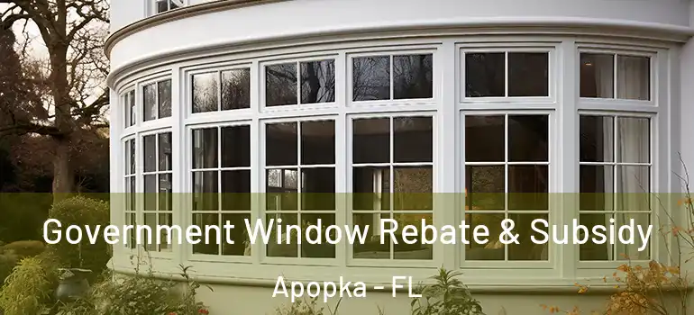  Government Window Rebate & Subsidy Apopka - FL