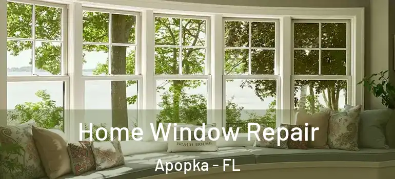  Home Window Repair Apopka - FL