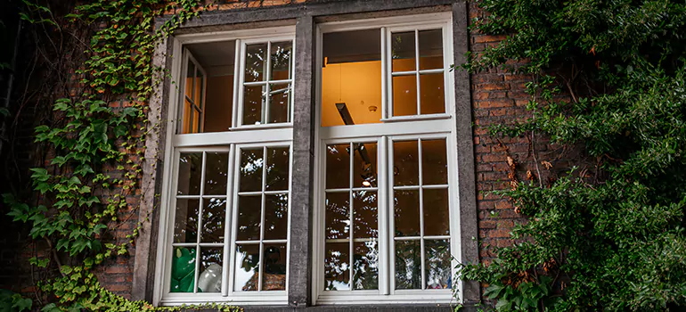 Energy Efficient Wood Windows in Apopka, FL
