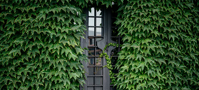 Garden Gate Repair in Apopka, FL
