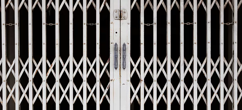 Steel Line Garage Door Repairs in Apopka, FL