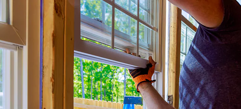 Decorative Window Film Services in Apopka, FL
