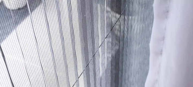 Fixing Screen Window Mesh in Apopka, FL