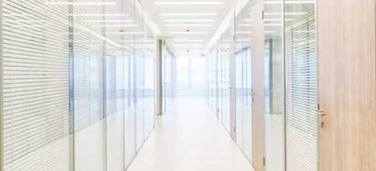 Frosted Glass Windows Replacement in Apopka, FL