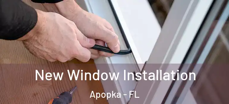  New Window Installation Apopka - FL