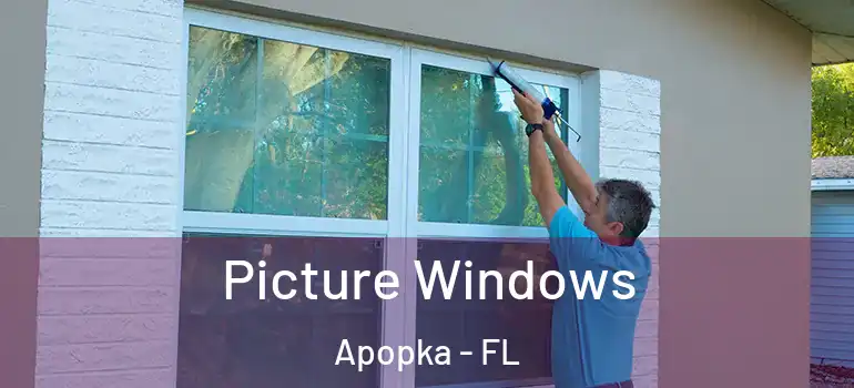  Picture Windows Apopka - FL