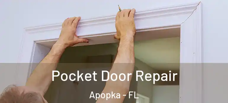  Pocket Door Repair Apopka - FL