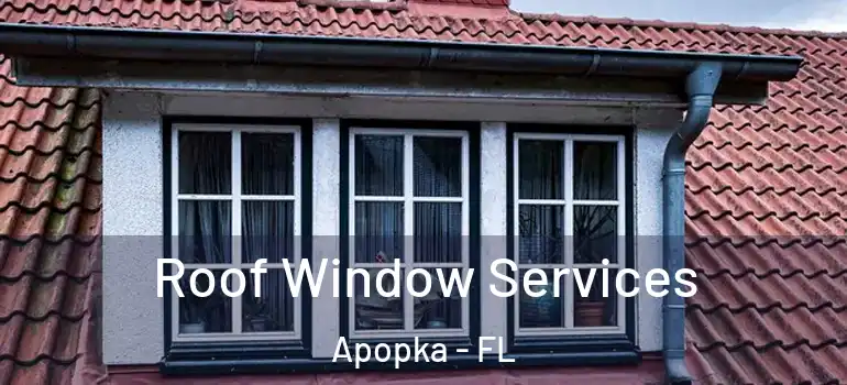  Roof Window Services Apopka - FL