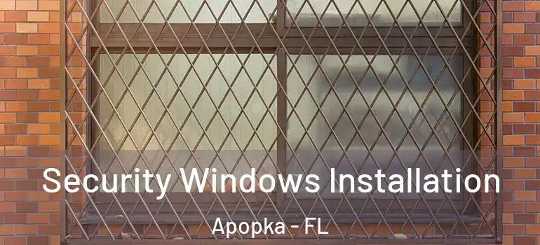  Security Windows Installation Apopka - FL