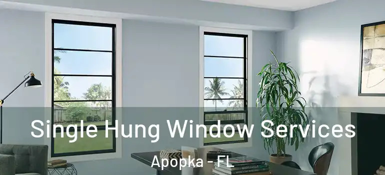  Single Hung Window Services Apopka - FL