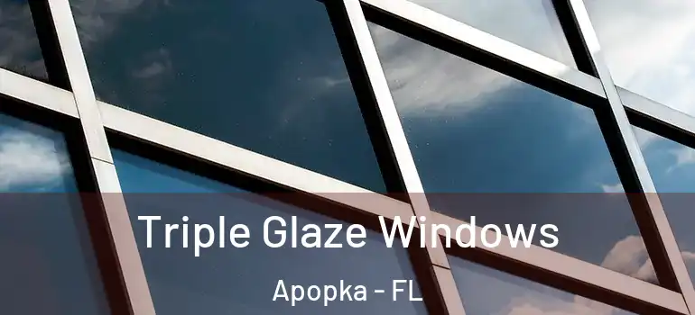  Triple Glaze Windows Apopka - FL