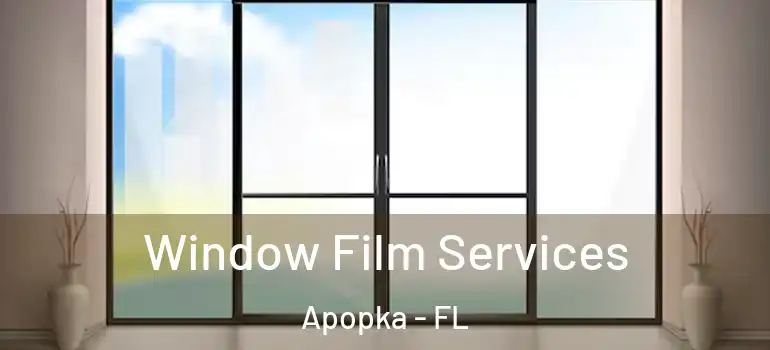  Window Film Services Apopka - FL