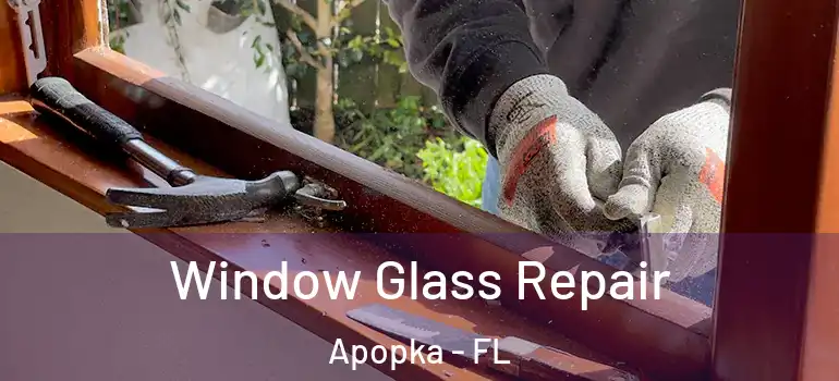  Window Glass Repair Apopka - FL