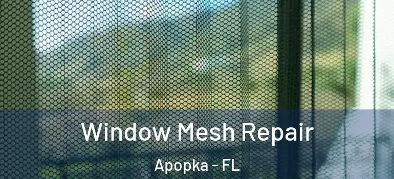  Window Mesh Repair Apopka - FL