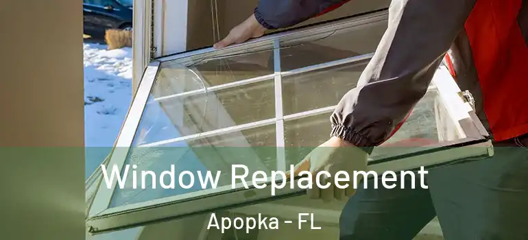  Window Replacement Apopka - FL