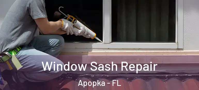  Window Sash Repair Apopka - FL