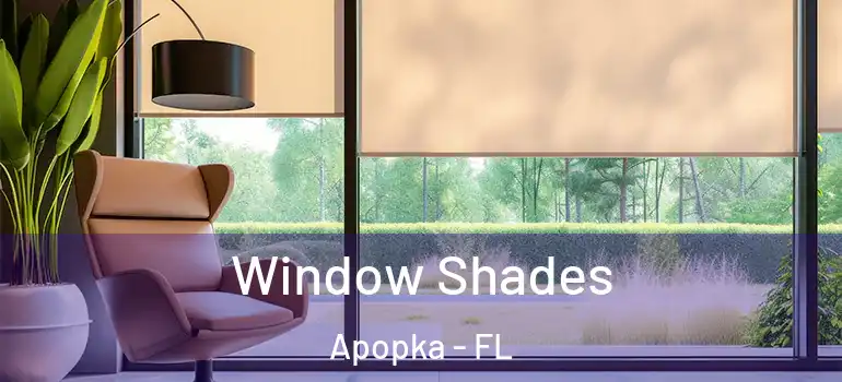  Window Shades Apopka - FL