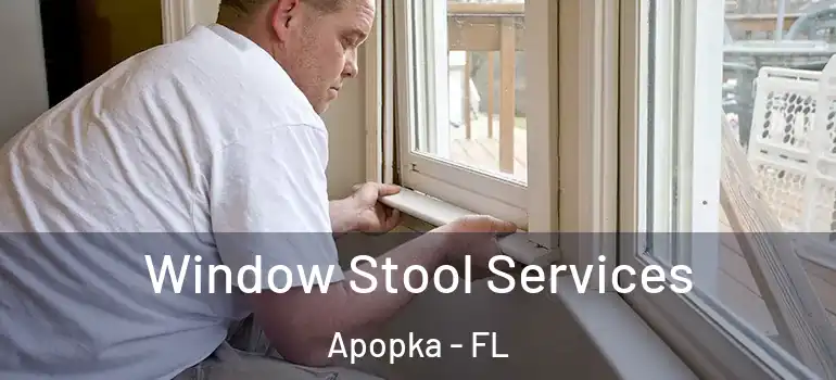  Window Stool Services Apopka - FL