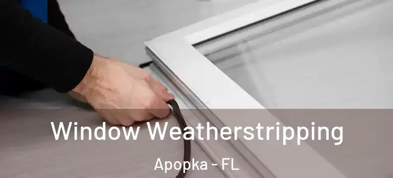  Window Weatherstripping Apopka - FL