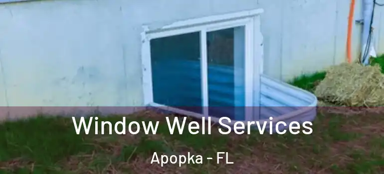  Window Well Services Apopka - FL